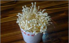 金針菇